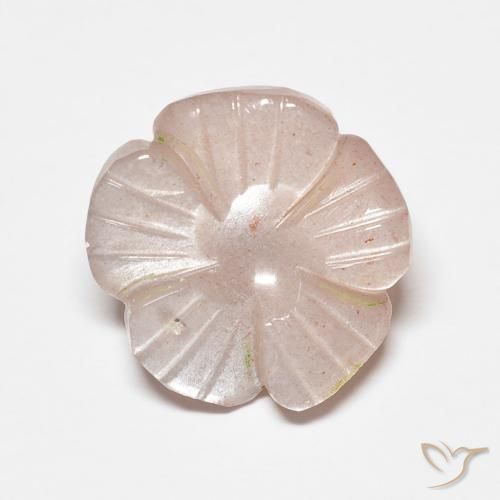 Pedra da Lua Rosa salmão Natural 4.47ct, Flor cortada, Translúcido