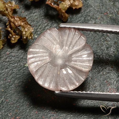 4.86ct Natural Castanho muito claro Pedra da Lua, Flor cortada, Translúcido