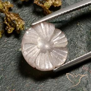 Pedra da Lua Castanho muito claro Natural 4.86ct, Flor cortada, Translúcido