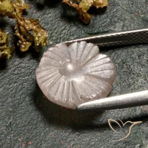 Pedra da Lua Castanho muito claro Natural 4.86ct, Flor cortada, Translúcido