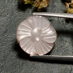 Pedra da lua marrom natural 6,27ct, corte flor, translúcido