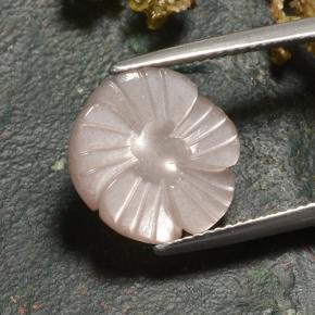 Pedra da lua marrom natural 6,27ct, corte flor, translúcido
