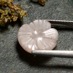 Pedra da lua marrom natural 6,27ct, corte flor, translúcido