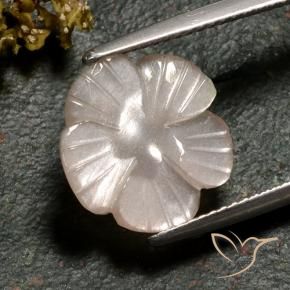 Pedra da Lua Marrom Caramelo Claro Natural 3.77ct, Flor cortada, Translúcido