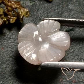 Pedra da Lua Marrom Caramelo Claro Natural 3.77ct, Flor cortada, Translúcido
