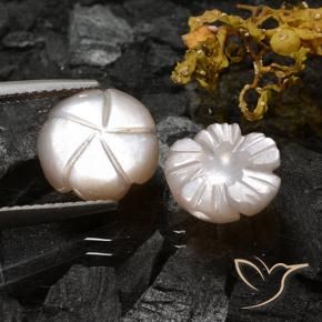 Pedras preciosas de Pedra da Lua Castanho muito claro natural de 6.16 ct, Flor cortada, Translúcido