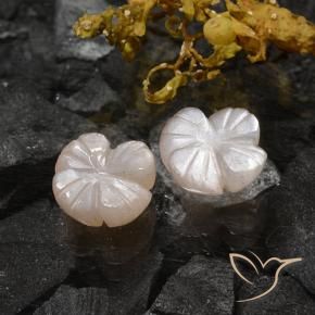 Pedras preciosas de Pedra da Lua Castanho muito claro natural de 3.06 ct, Flor cortada, Translúcido