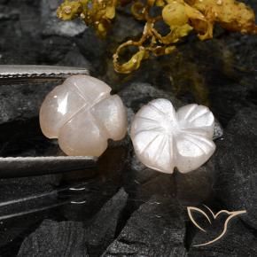 Pedras preciosas de Pedra da Lua Castanho muito claro natural de 3.06 ct, Flor cortada, Translúcido