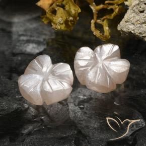 Pedras preciosas de Pedra da Lua Castanho muito claro natural de 2.36 ct, Flor cortada, Translúcido
