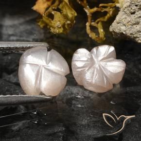 Pedras preciosas de Pedra da Lua Castanho muito claro natural de 2.36 ct, Flor cortada, Translúcido