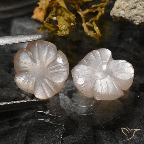 3.75ctw Natural Marrom Caramelo Claro Pedra da Lua, Flor cortada, Translúcido