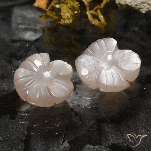 Pedras preciosas de Pedra da Lua Marrom Caramelo Claro natural de 3.75 ct, Flor cortada, Translúcido