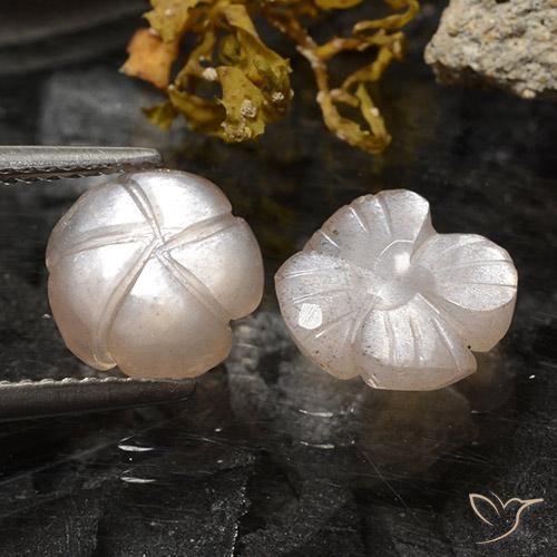 Pedras preciosas de Pedra da Lua Marrom Caramelo Claro natural de 3.75 ct, Flor cortada, Translúcido