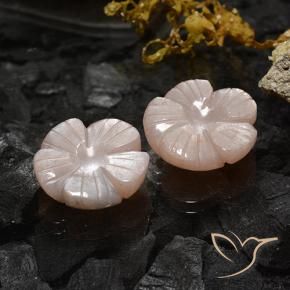 Pedras preciosas de Pedra da Lua Castanho muito claro natural de 10.47 ct, Flor cortada, Translúcido