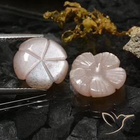 Pedras preciosas de Pedra da Lua Castanho muito claro natural de 10.47 ct, Flor cortada, Translúcido