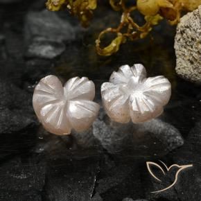 Pedras preciosas de Pedra da Lua Marrom Caramelo Claro natural de 2.37 ct, Flor cortada, Translúcido