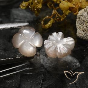 Pedras preciosas de Pedra da Lua Marrom Caramelo Claro natural de 2.37 ct, Flor cortada, Translúcido