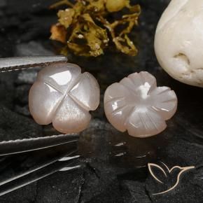 Pedras preciosas de Pedra da Lua Marrom Caramelo Claro natural de 3.44 ct, Flor cortada, Translúcido