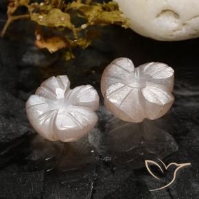 Pedras preciosas de Pedra da Lua Rosa bem claro natural de 3.40 ct, Flor cortada, Translúcido