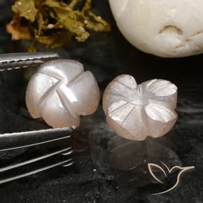 Pedras preciosas de Pedra da Lua Rosa bem claro natural de 3.40 ct, Flor cortada, Translúcido