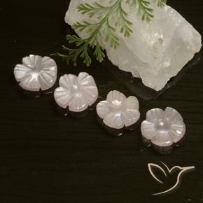 Pedras preciosas de Pedra da Lua Rosa bem claro natural de 5.66 ct, Flor cortada, Translúcido