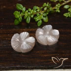 Pedras preciosas de Pedra da Lua Castanho muito claro natural de 7.33 ct, Flor cortada, Translúcido