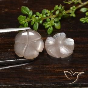 Pedras preciosas de Pedra da Lua Castanho muito claro natural de 7.33 ct, Flor cortada, Translúcido