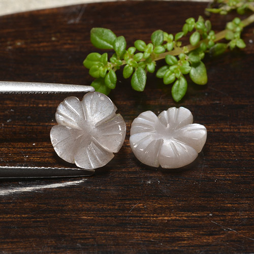 Pedras preciosas de pedra da lua marrom natural de 5,11 ct, corte flor, translúcido