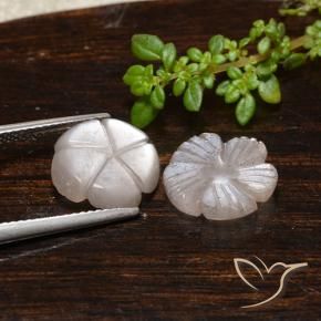 Pedras preciosas de Pedra da Lua Castanho muito claro natural de 6.11 ct, Flor cortada, Translúcido