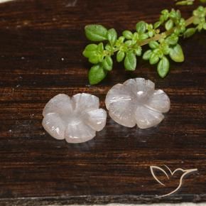 Pedras preciosas de Pedra da Lua Castanho muito claro natural de 3.90 ct, Flor cortada, Translúcido