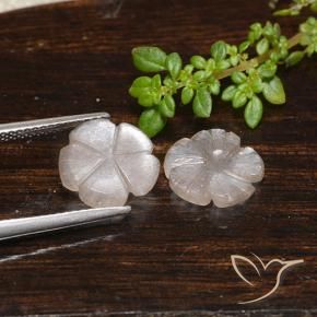 Pedras preciosas de Pedra da Lua Castanho muito claro natural de 3.90 ct, Flor cortada, Translúcido