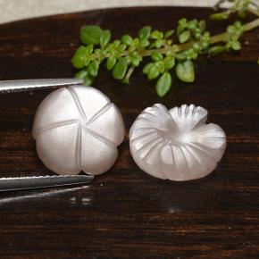 Pedras preciosas de pedra da lua marrom natural de 9,95 ct, corte flor, translúcido