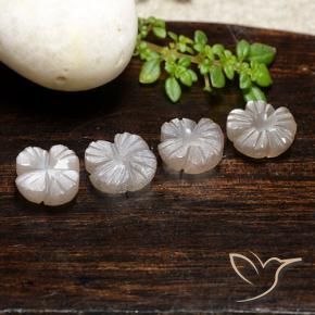 Pedras preciosas de Pedra da Lua Marrom Caramelo Claro natural de 7.00 ct, Flor cortada, Translúcido