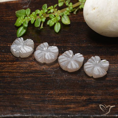 3.99ctw Natural Marrom Caramelo Claro Pedra da Lua, Flor cortada, Translúcido