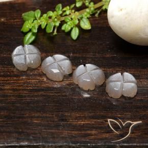 Pedras preciosas de Pedra da Lua Marrom Caramelo Claro natural de 3.99 ct, Flor cortada, Translúcido