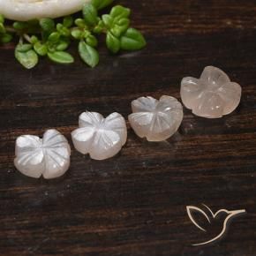 Pedras preciosas de Pedra da Lua Castanho muito claro natural de 4.06 ct, Flor cortada, Translúcido