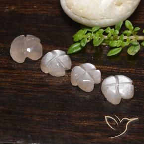 Pedras preciosas de Pedra da Lua Castanho muito claro natural de 4.06 ct, Flor cortada, Translúcido