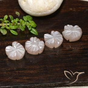 Pedras preciosas de Pedra da Lua Castanho muito claro natural de 6.24 ct, Flor cortada, Translúcido