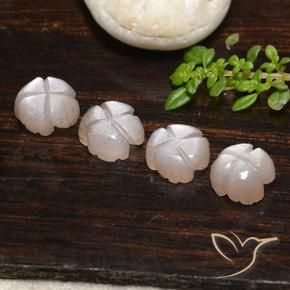 Pedras preciosas de Pedra da Lua Castanho muito claro natural de 6.24 ct, Flor cortada, Translúcido