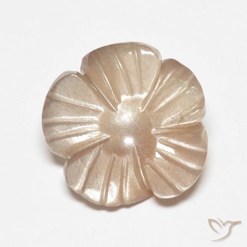 Pedra da Lua Castanho muito claro Natural 4.14ct, Flor cortada, Translúcido
