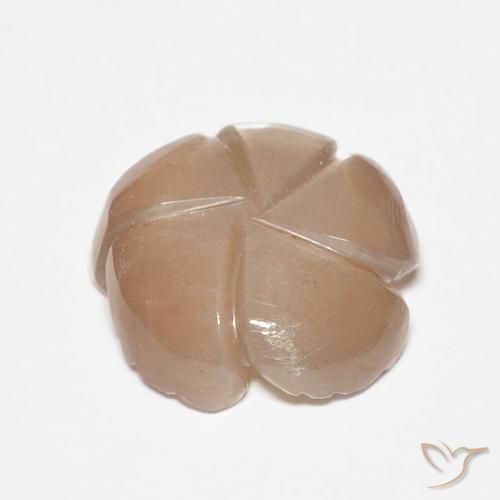 Pedra da Lua Castanho muito claro Natural 4.14ct, Flor cortada, Translúcido