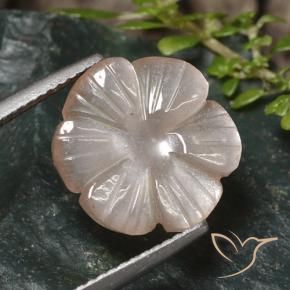 Pedra da Lua Castanho muito claro Natural 5.24ct, Flor cortada, Translúcido
