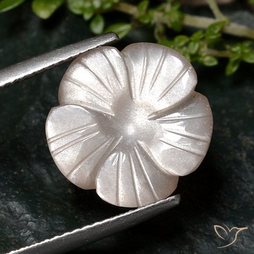 Pedra da lua marrom de 6,68 quilates, 13,8 x 13,7 mm esculpida na Índia, Photo A