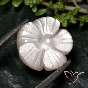 Pedra da Lua Castanho muito claro Natural 6.68ct, Flor cortada, Translúcido