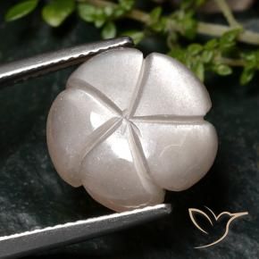 Pedra da Lua Castanho muito claro Natural 6.68ct, Flor cortada, Translúcido