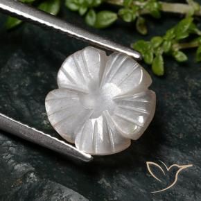 Pedra da Lua Castanho muito claro Natural 2.76ct, Flor cortada, Translúcido