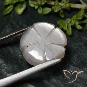Pedra da Lua Castanho muito claro Natural 2.76ct, Flor cortada, Translúcido