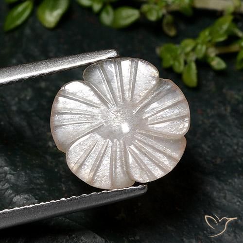 2.46ct Natural Castanho Amendoim Claro Pedra da Lua, Flor cortada, Translúcido