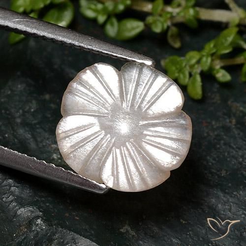 Pedra da Lua Castanho Amendoim Claro Natural 2.46ct, Flor cortada, Translúcido