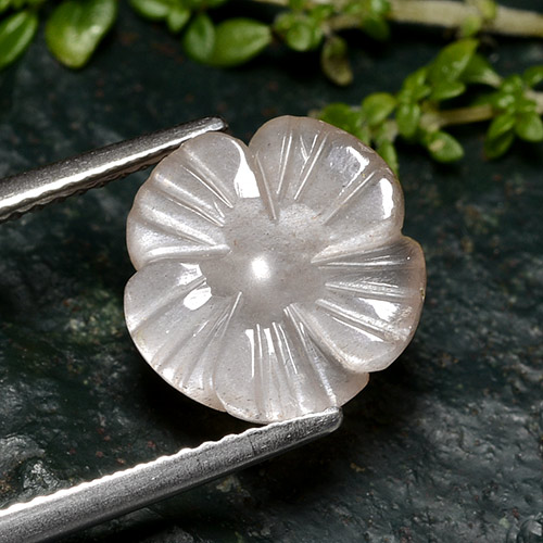 Pedra da lua rosa natural 3,60ct, corte flor, translúcido